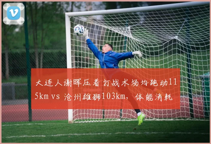 大连人谢晖压着打战术场均跑动115km vs 沧州雄狮103km，体能消耗战谁能笑到最后
